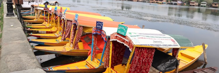 Srinagar