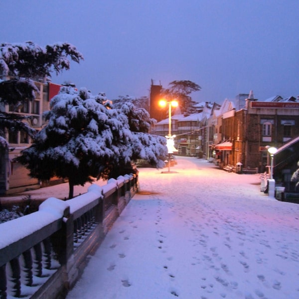 Honeymoon Tour - Manali Chandigarh