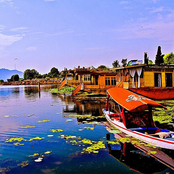 Kashmir Honeymoon Tour